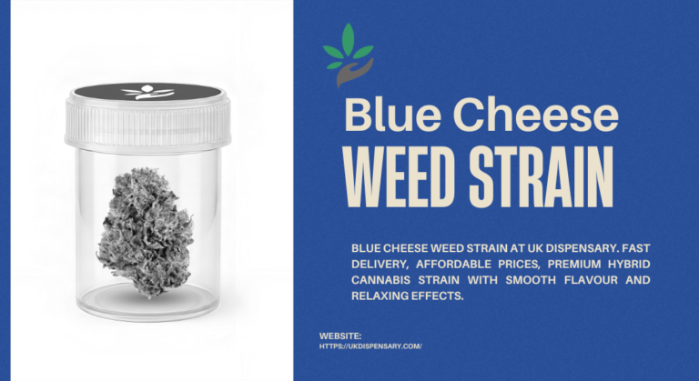 Blue Cheese weed Strain