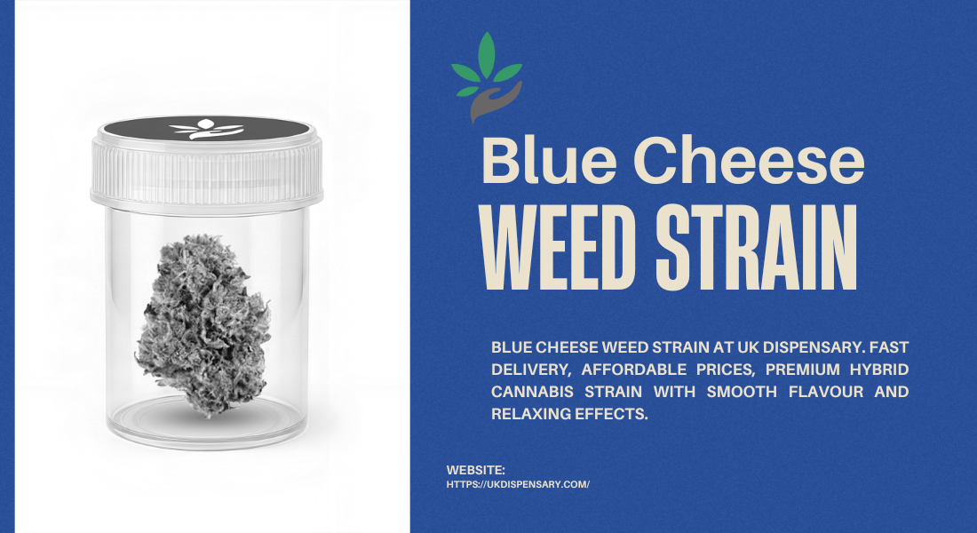 Blue Cheese weed Strain